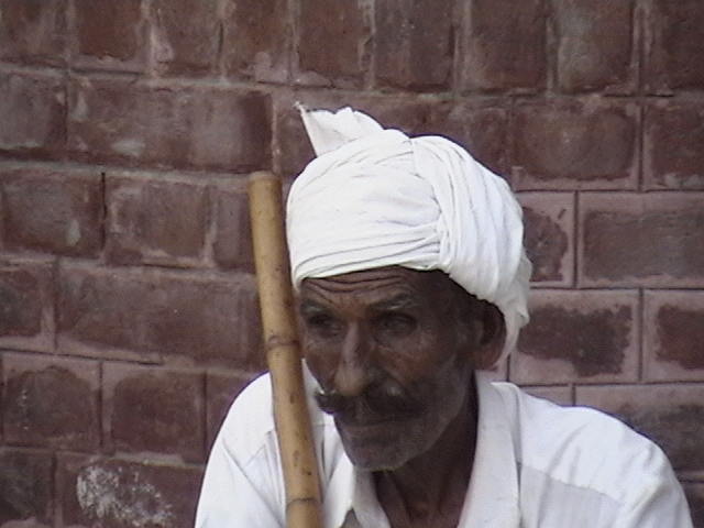 PakistanPaedia Life Around Us